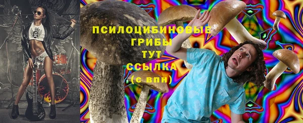 сатива Алексин