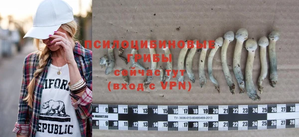 стаф Алзамай