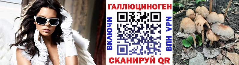 Псилоцибиновые грибы мицелий  как найти закладки  Грязи 