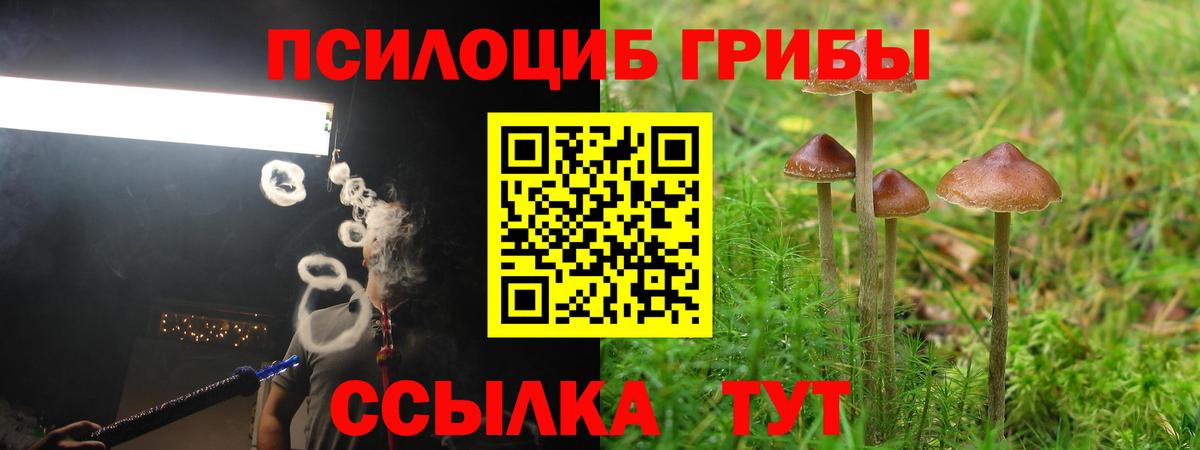 Грязи  Галлюциногенные грибы Cubensis  Вход с VPN  Псилоцибиновые грибы мухоморы 